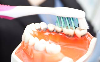 Schutz vor ansteckender Parodontose